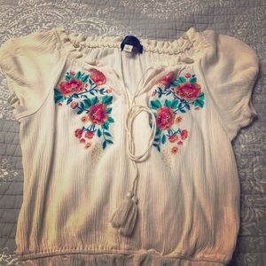 Embroidered Crop Top